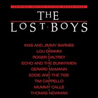 The Lost Boys - The Lost Boys Soundtrack (Metallic Silver) vinyl cover