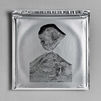 The Lynx - Lynx vinyl cover