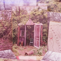 The Marcus King Band - Carolina Confessions vinyl cover