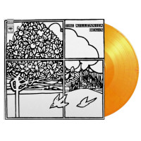 The Millennium - Begin (Yellow & Orange Marble) vinyl cover