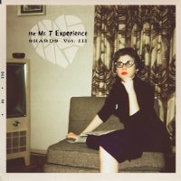 The Mr. T Experience - Shards Vol. 3