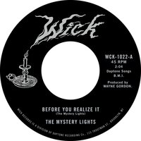The Mystery Lights - Before You Realize It b/w Cerebral Crack vinyl cover