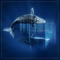 The Naked Souls - Reverb From The Depths vinyl cover