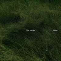 The Necks - Bleed vinyl cover