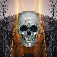 The Neverly Boys - Dark Side Of Everything vinyl cover