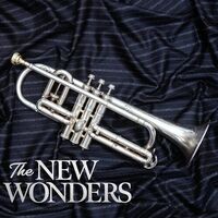The New Wonders - The New Wonders vinyl cover