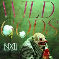 The Number Twelve Looks Like You - Wild Gods vinyl cover