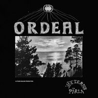 The Ordeal - Vatterns Parla vinyl cover