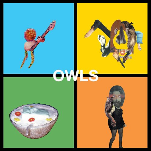 The Owls - Owls vinyl cover