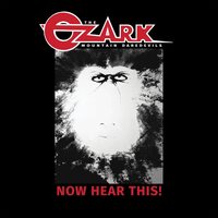 The Ozark Mountain Daredevils - Now Hear This!  vinyl cover