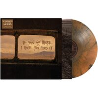 The Paper Kites - If You Go There, I Hope You Find It (Rust) vinyl cover