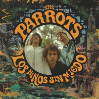 Parrots - Los Niños Sin Miedo vinyl cover