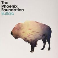 The Phoenix Foundation - Buffalo vinyl cover