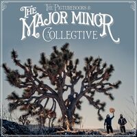 The Picturebooks - The Major Minor Collective vinyl cover