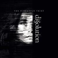 The Pineapple Thief - Dissoultion vinyl cover