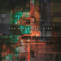 The Pineapple Thief - Hold Our Fire vinyl cover