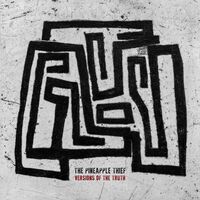 The Pineapple Thief - Versions Of The Truth vinyl cover