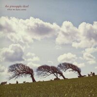 The Pineapple Thief - What We Have Sown vinyl cover