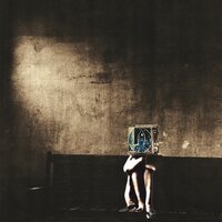 The Polyphonic Spree - Salvage Enterprise vinyl cover