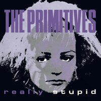 The Primitives - Really Stupid vinyl cover