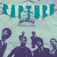 The Rapture - Rapture vinyl cover