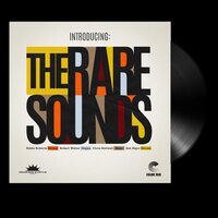 The Rare Sounds - Introducing: the Rare Sounds vinyl cover