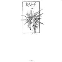 The Rats - C'est Disco vinyl cover