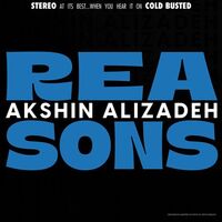 The Reasons - Alizadeh,Akshin vinyl cover