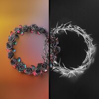 The Rose - DUAL vinyl cover