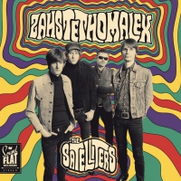 The Satelliters - Zahstethomalex vinyl cover