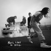 The Scratch - Pull Like A Dog vinyl cover