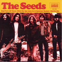The Seeds - Bad Part Of Town vinyl cover