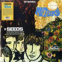 The Seeds - Future vinyl cover