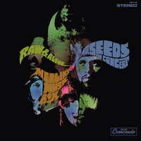 The Seeds - Raw & Alive vinyl cover