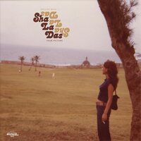 The Sha La Das - Your Picture (Yellow) vinyl cover