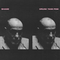 The Shame - Drunk Tank Pink vinyl cover