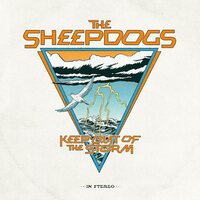 The Sheepdogs - Keep Out Of The Storm  vinyl cover