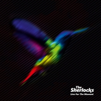 The Sherlocks - Live For The Moment vinyl cover