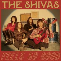 The Shivas - Feels So Good // Feels So Bad vinyl cover