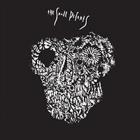 The Skull Defekts - The Skull Defekts vinyl cover