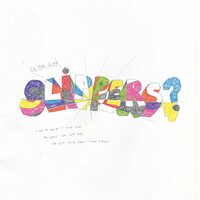 The Slippers - So You Like Slippers? vinyl cover