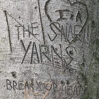 The Snarlin' Yarns - Break Your Heart vinyl cover