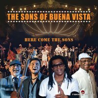 The Sons Of Buena Vista - Here Come The Sons vinyl cover