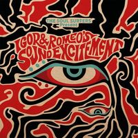 The Soul Surfers - The Soul Surfers Present: Igor & Romeo's Sound Exc vinyl cover