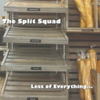 The Split Squad - Less of Everything vinyl cover