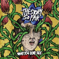 The Story So Far - What You Don't See vinyl cover