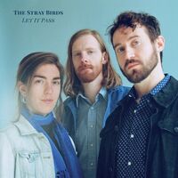 The Stray Birds - Let It Pass vinyl cover