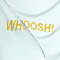The Stroppies - Whoosh vinyl cover