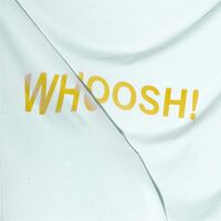 The Stroppies - Whoosh vinyl cover