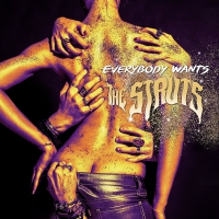 The Struts - Everybody Wants vinyl cover